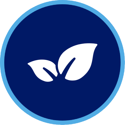 Farmacia Dra Maria Jesús Cutillas